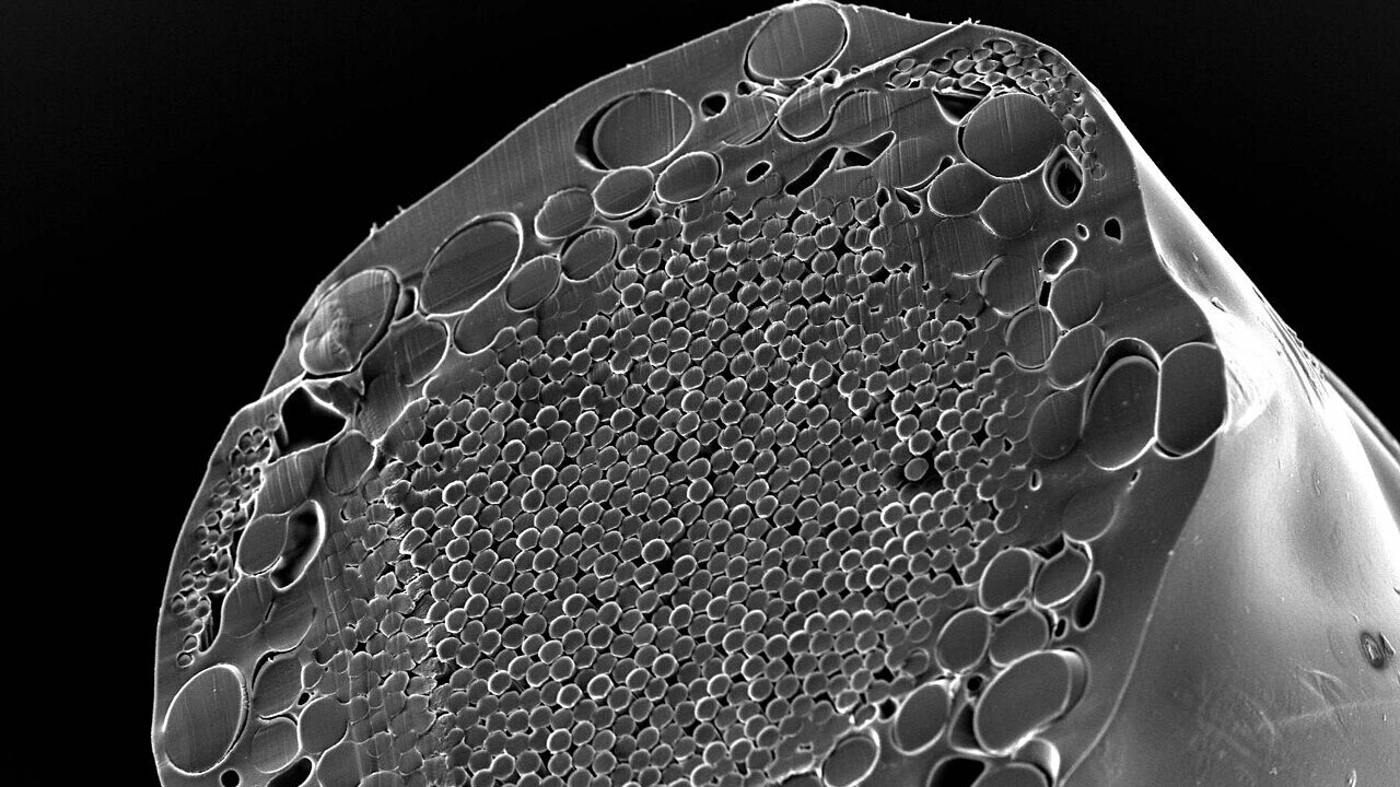 Best Budget Tennis Rackets Under ₱5,000 in the Philippines